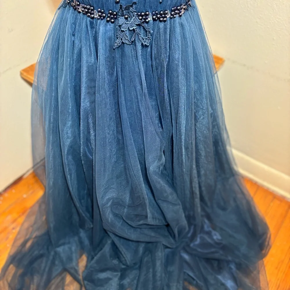 Gorgeous Jeweled Evening Gown Dress - Picture 5 of 16